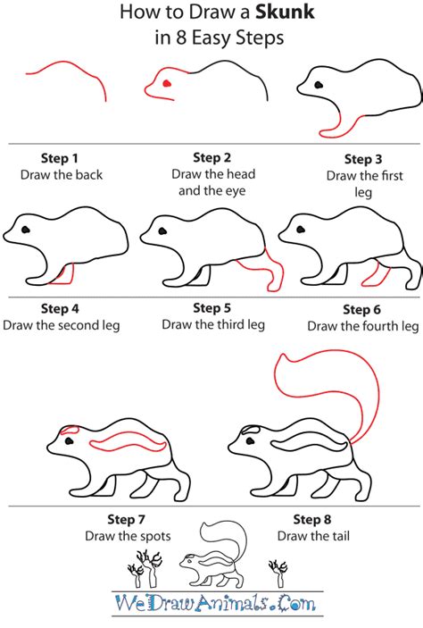 How to Draw a Skunk