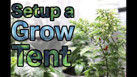 How to Setup a Indoor Grow Room - YouTube