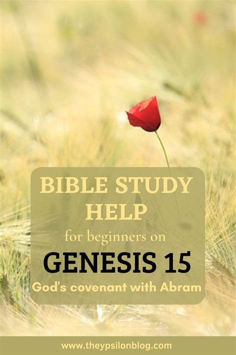 Bible Study on Genesis 15 | TheYpsilonBlog