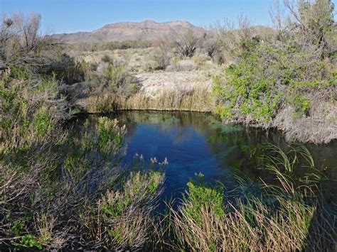 Ash Meadows National Wildlife Refuge, Nevada Amargosa Valley, Nevada ...