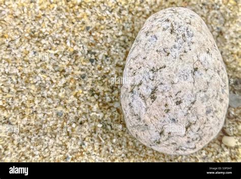 Egg shaped rock on Martha’s Vineyard beach Stock Photo - Alamy