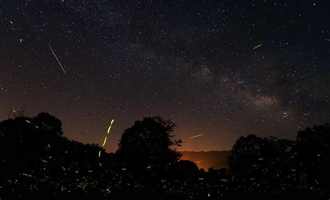 Fireflies And Night Sky Photograph by Kevin Adams