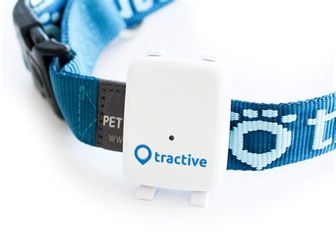 How can I attach the Tractive GPS tracker to my pet? – Tractive Help Center