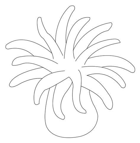 Big Sea Anemone Coloring Page - Free Printable Coloring Pages for Kids