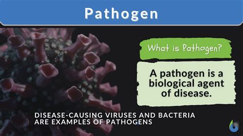 Pathogen Definition and Examples - Biology Online Dictionary