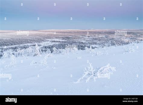 Winter landscape, Lapland, Sweden Stock Photo - Alamy