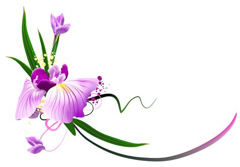 Beautiful Purple Floral Decor PNG Clipart | Flower art, Clip art borders, Flower clipart
