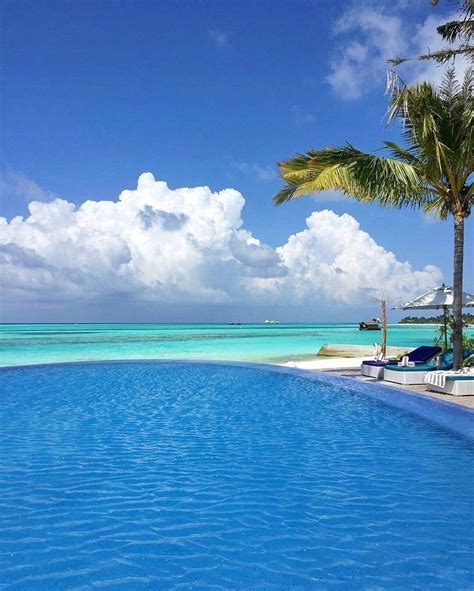 an empty swimming pool with lounge chairs and palm trees in the ...