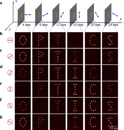 Holographic projection of a vectorial 3D image with a hologram. (a)... | Download Scientific Diagram