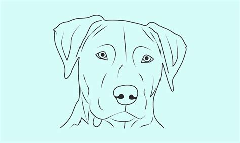 Premium Vector | A drawing of a dog with a black outline of a pit bull.