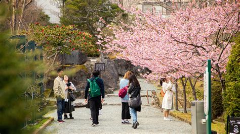 Hakone Gora Park, JP holiday accommodation from AU$ 125/night | Stayz