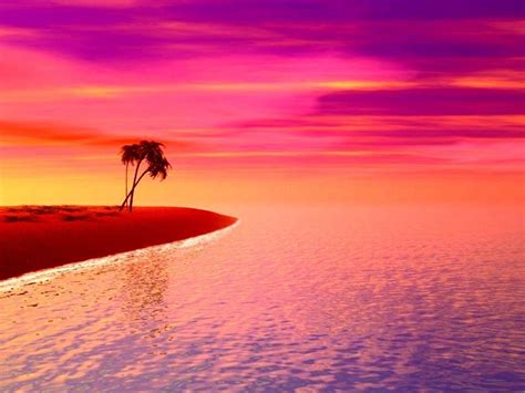 Purple Beach Sunset Wallpapers - Wallpaper Cave