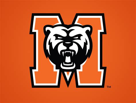 Mercer Bears Concept by Dave Raffin on Dribbble