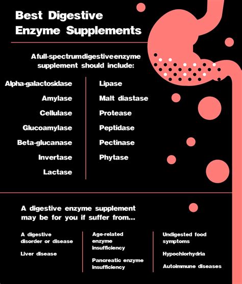 Understanding Digestive Plant Enzymes + 6 Benefits Not to Miss – The Amino Company