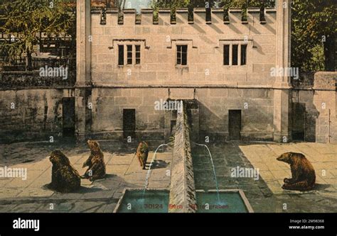 Bern - The Bear PIt - Switzerland Stock Photo - Alamy