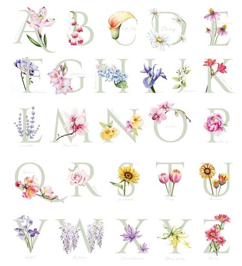 Flower alphabet 🌸🌷🌹🌼🌺 #floweralphabet #watercolorpainting # ...