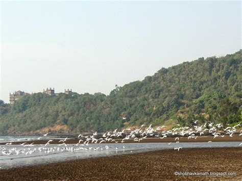 Ladle, Brush & Spade: Murud-Janjira Beach & Fort