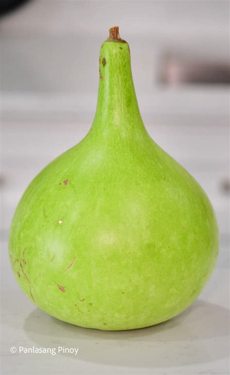 Upo Recipes (Bottle Gourd) - Panlasang Pinoy