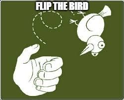 Flip the bird - Imgflip