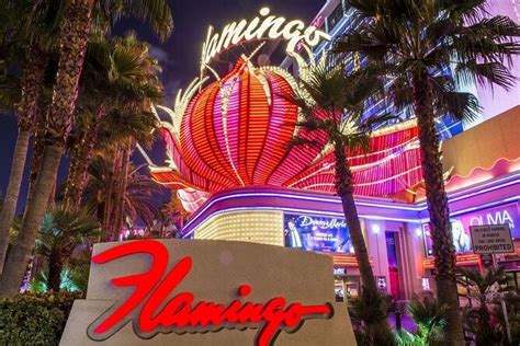 Flamingo Las Vegas Hotel & Casino - What To Know BEFORE You Go | Viator