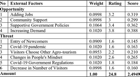 External Factor Evaluation (EFE) matrix. | Download Scientific Diagram