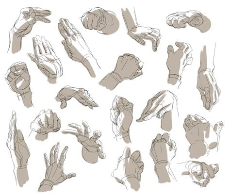 Hands Reference Drawing at GetDrawings | Free download