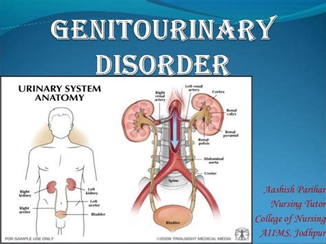 Pathology Of Genitourinary System