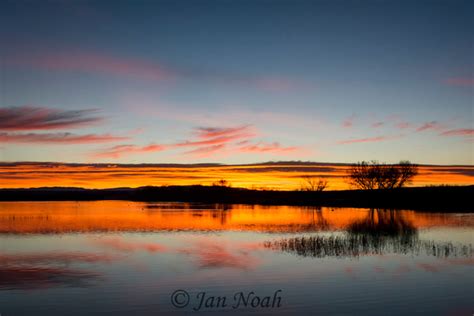 Clear Horizon Photography | Bosque del Apache