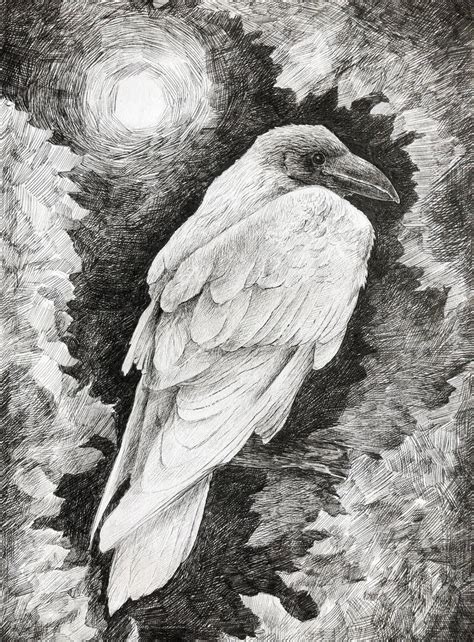 White raven by Vereena0 on DeviantArt