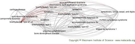 Brachydactyly, Type A1, D disease: Malacards - Research Articles, Drugs ...