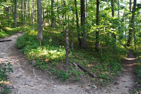 Chattahoochee National Forest: Yonah Mountain Trail, Cleveland, Georgia ...