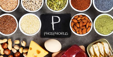 16 Foods High in Phosphorus and Their Health Benefits - Dr. Axe