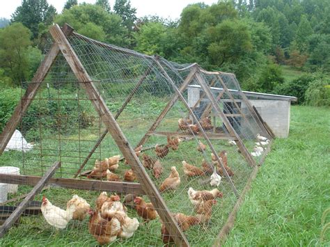 How To Set Up A Chicken Coop Nz - Chicken Coop