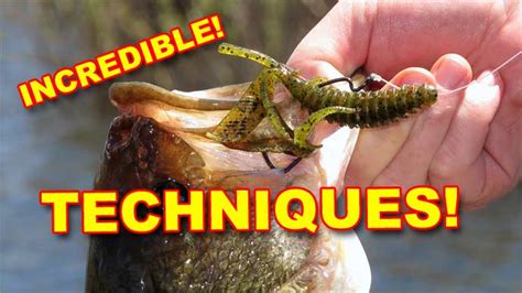 Mastering Texas Rig Fishing in Spring: Essential Techniques & Tips for Pre to Post-Spawn Bass ...