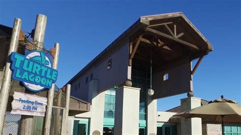 Living Coast Discovery Center Prepares to Reopen – NBC 7 San Diego