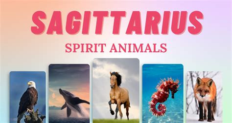 7 Sagittarius Spirit Animals that Embody this Zodiac Sign | So Syncd