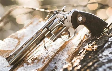 10 Best Revolvers (2022) Buyer’s Guide – Best Survival