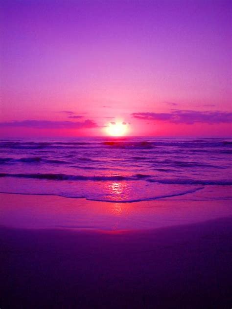 Purple and Pink Sunset Wallpaper - WallpaperSafari