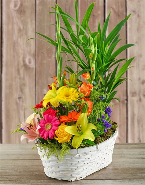 Mother's Day Plant with Flower Arrangement in a Basket - Hamperlicious