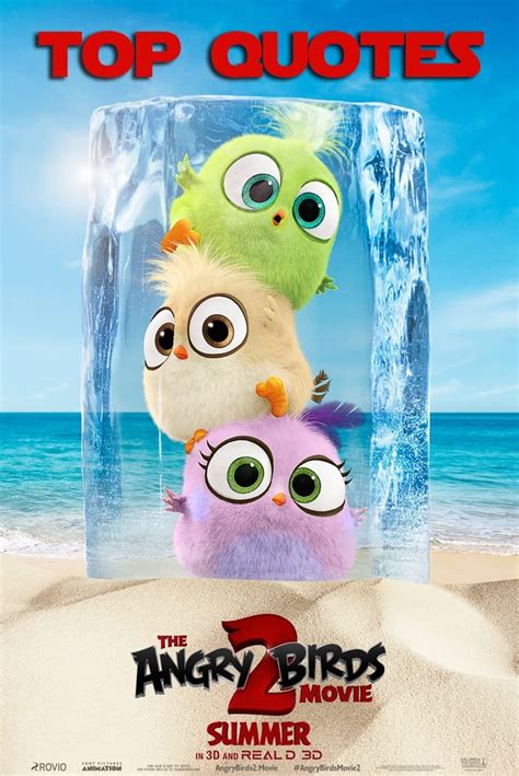 The Angry Birds Movie 2 Quotes - Enza's Bargains