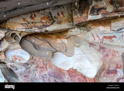 Rock art in the Cederberg mountains, South Africa Stock Photo - Alamy