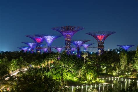 Singapore Night Skyline at Gardens by the Bay Editorial Stock Image - Image of luxury, scene ...