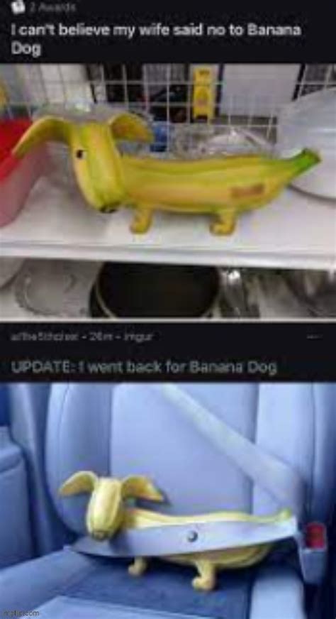 banana dog - Imgflip