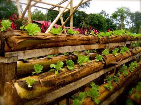 hydroponics bamboo Google Search is part of Hydroponics – #gardendesign ...