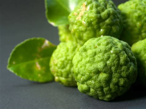 Bergamot Fruit Free Stock Photo - Public Domain Pictures