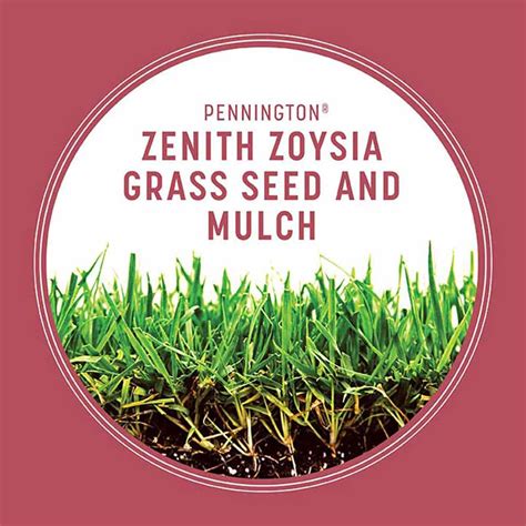 Zenith Zoysia - Grass Seed & Mulch | Pennington