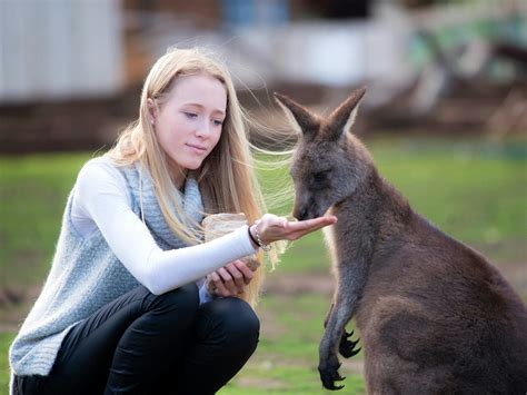 Bonorong Wildlife Sanctuary | Family and kids | Discover Tasmania