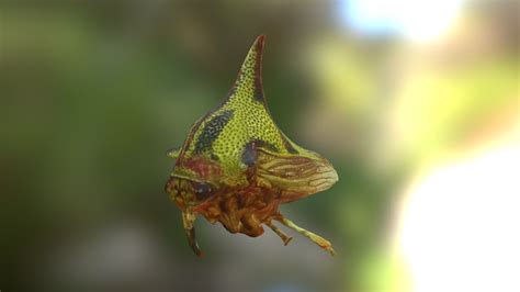 Thorn Bug - 3D model by Libraries of Life (@ExplorMorLabs) [51620c7 ...