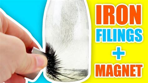 IRON FILINGS in WATER vs MAGNET | Satisfying Experiment | Water experiments, Iron, Magnets