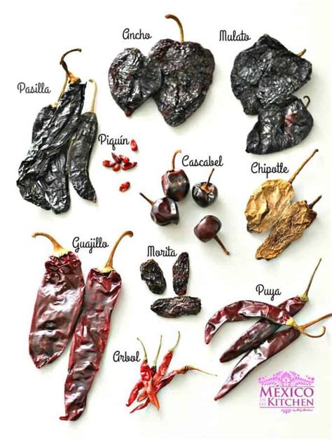 A Beginner's Guide To Mexican Dried Peppers